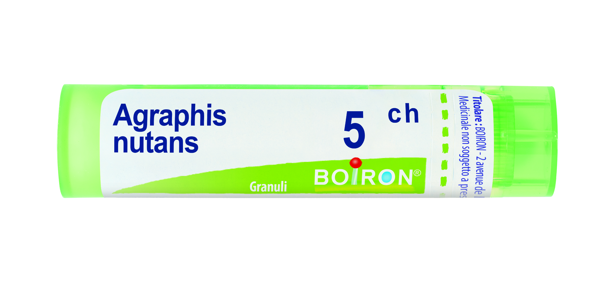 AGRAPHIS NUT BOI*5CH GR 4G - Pharmaleader