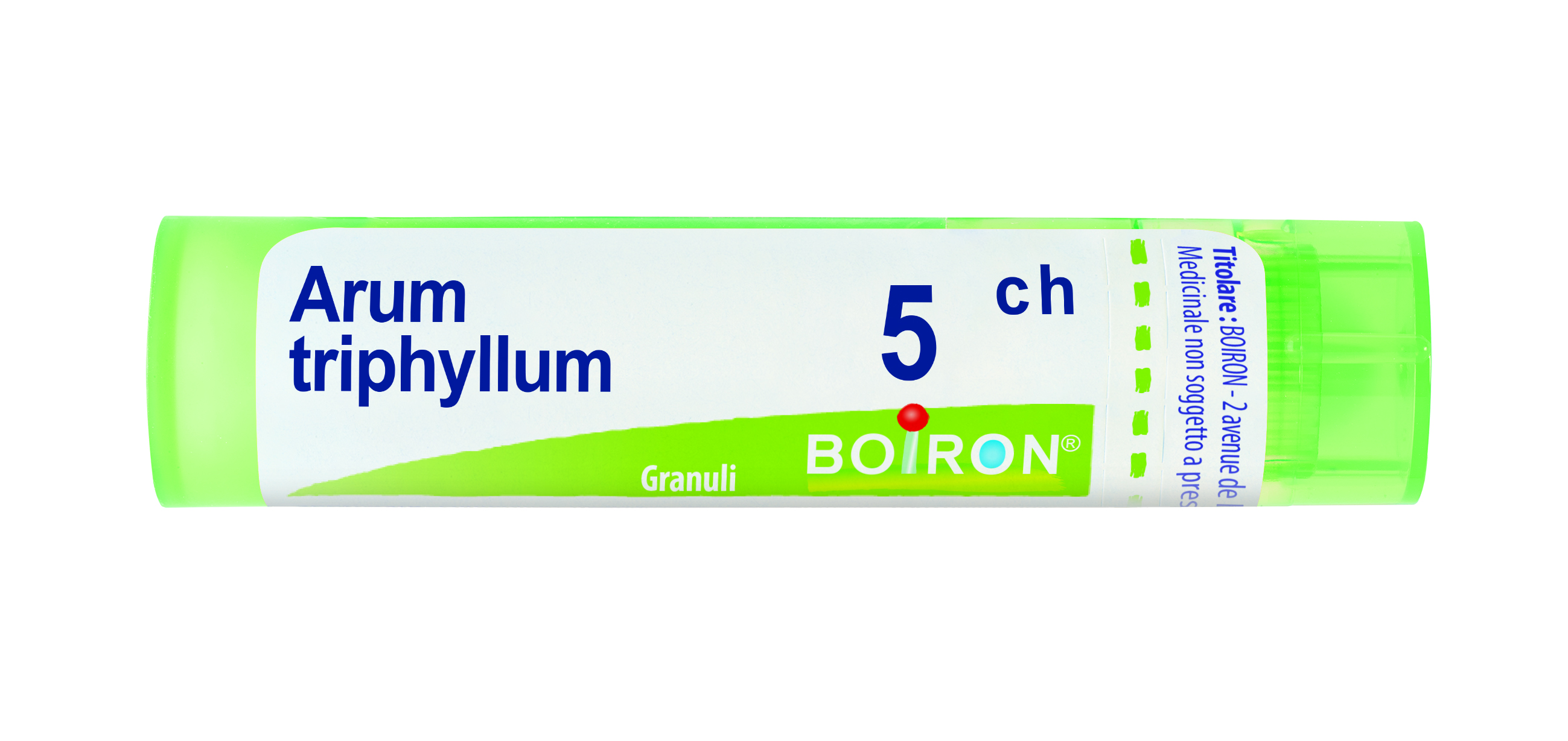ARUM TRIPHYL BOI*5CH GR 4G - Pharmaleader