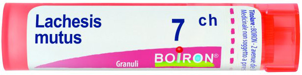 LACHESIS MUTUS 7 CH GRANULI - Pharmaleader