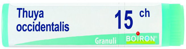 THUYA OCCIDENTALIS 15 CH GLOBULI 1G - Pharmaleader