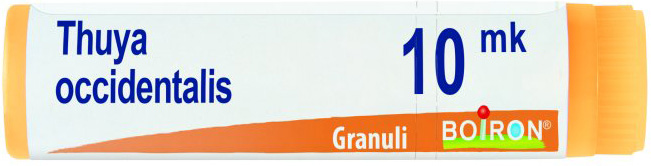 THUYA OCCIDENTALIS XMK GLOBULI - Pharmaleader