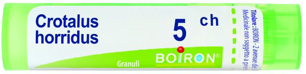 CROTALUS HORRIDUS 5CH GRANULI - Pharmaleader