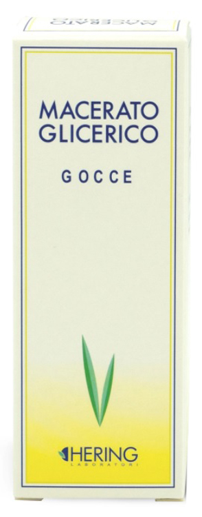 TILIA TOMENTOSA GEMME MACERATO GLICERICO 60 ML - Pharmaleader