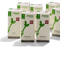 BETULLA PUBESCENS GEMME MACERATO GLICERICO 50 ML - Pharmaleader