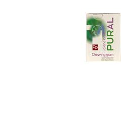 PURAL CHEWING GUM 14 G IGIENIZZANTE - Pharmaleader