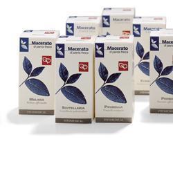 ZENZERO TINTURA MADRE 50 ML - Pharmaleader
