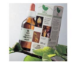 FRASSINO MACERATO GLICERICO 100 ML - Pharmaleader