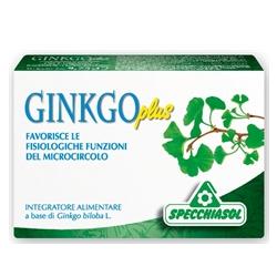 GINKGO PLUS 30 CAPSULE - Pharmaleader