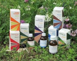 RAEMIL ARTIS GINKO BIL COMPOSTO 25 - Pharmaleader