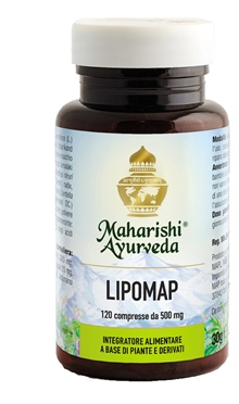 LIPOMAP 120 COMPRESSE - Pharmaleader