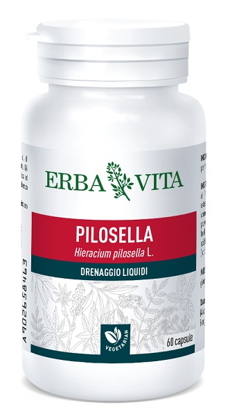 PILOSELLA 60 CAPSULE 400 MG - Pharmaleader