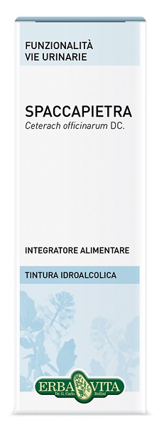 SPACCAPIETRA TINTURA IDROALCOLICA 50 ML EBV - Pharmaleader