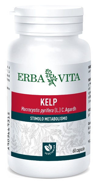 KELP 60 CAPSULE 500 MG - Pharmaleader