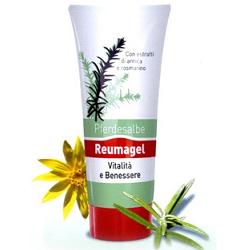 RECOVER GEL PFERDESALBE 200 ML - Pharmaleader