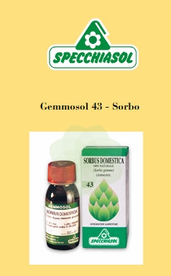 GEMMOSOL 43 SORBO 50ML - Pharmaleader
