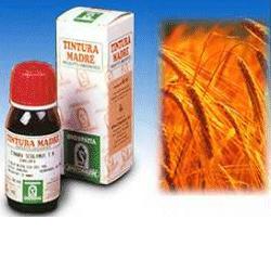 AVENA SATIVA 3 50ML TM - Pharmaleader