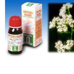 VALERIANA 36 TINTURA MADRE 50 ML - Pharmaleader