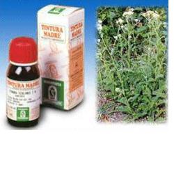 ACHILLEA 51 TINTURA MADRE 50 ML - Pharmaleader