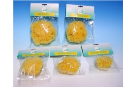 NATURA PURA SPUGNA NATURALE 14 BUSTE - Pharmaleader