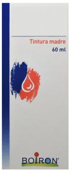 TARAXACUM TINTURA MADRE 60 ML - Pharmaleader