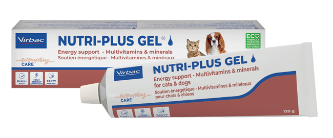 NUTRIPLUS GEL PASTA ORALE 120 G - Pharmaleader