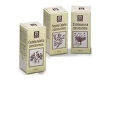 NEPETA CATARIA ESTRATTO ANALCOLICO 50 ML - Pharmaleader