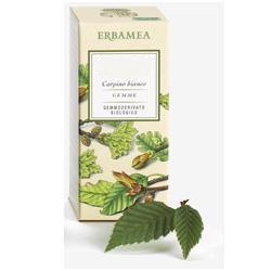 AESCULUS HIPPOCASTANUM GEMME GEMMODERIVATO 50 ML - Pharmaleader