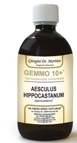 GEMOO 10+ GEMMODERIVATO CONCENTRATO IPPOCASTANO LIQUIDO ANALCOLICO AESCULUS HIPPOCASTANUM IPPOCASTANO 500 ML - Pharmaleader