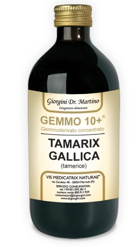 GEMMO 10+ GEMMODERIVATO CONCENTRATO LIQUIDO ANALCOLICO TAMARIX GALLICA TAMERICE 500 ML - Pharmaleader