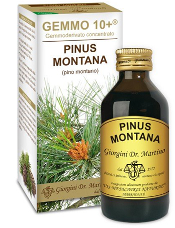 GEMMO 10+ PINO MONTANO 100 ML LIQUIDO ANALCOLICO - Pharmaleader