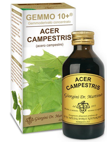 GEMMO 10+ ACERO CAMPESTRE 100 ML LIQUIDO ANALCOLICO - Pharmaleader