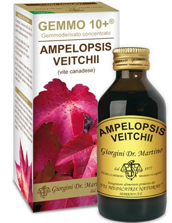 VITE CANADESE 100 ML LIQUIDO ANALCOLICO GEMMO +10 - Pharmaleader