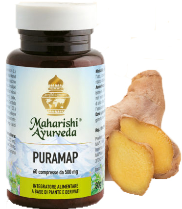 PURAMAP 60 COMPRESSE - Pharmaleader