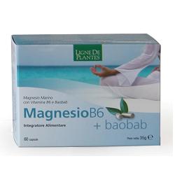 MAGNESIO B6 + BAOBAB 60 CAPSULE - Pharmaleader
