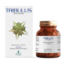 TRIBULUS 50 CAPSULE - Pharmaleader