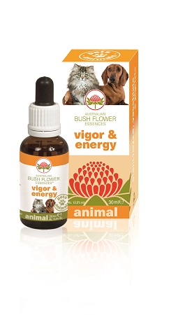 VIGOR & ENERGY 30 ML - Pharmaleader