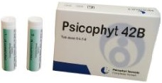 PSICOPHYT REMEDY 42B 4 TUBI 1,2G - Pharmaleader