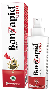 BANZAPID SPRAY TRATTAMENTO 100 ML - Pharmaleader
