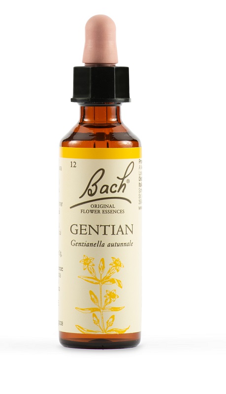 GENTIAN BACH ORIG 20 ML - Pharmaleader