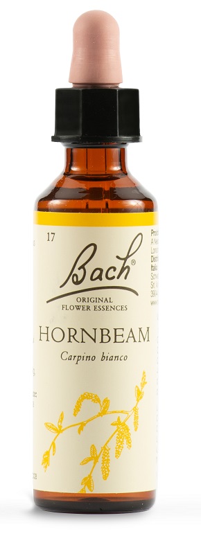 HORNBEAM BACH ORIG 20 ML - Pharmaleader