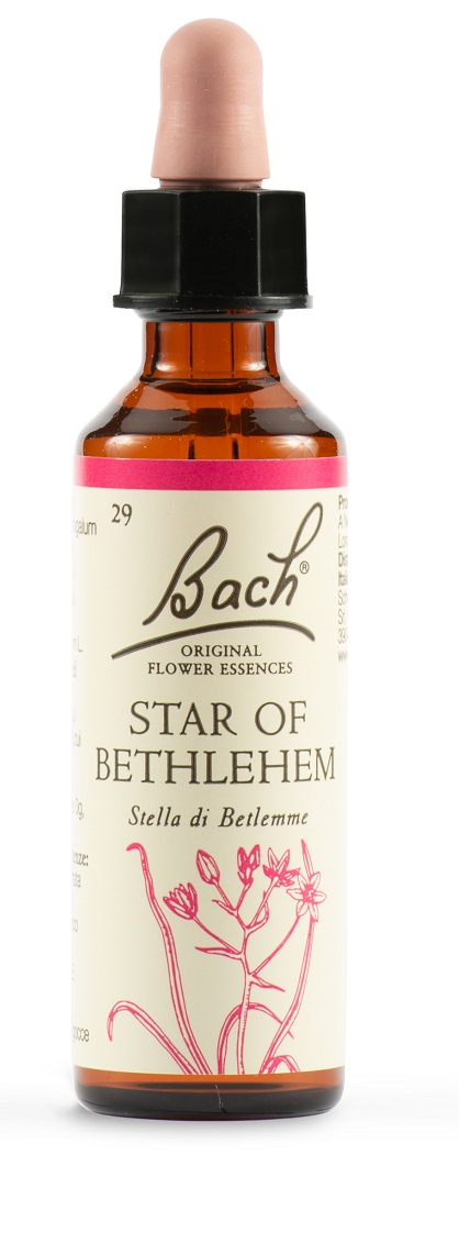 STAR OF BETHL ORIG 20 ML - Pharmaleader