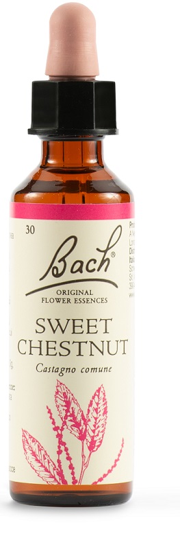 SWEET CHEST BACH ORIG 20 ML - Pharmaleader
