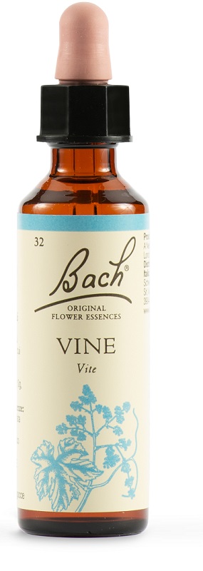 VINE BACH ORIG 20 ML - Pharmaleader