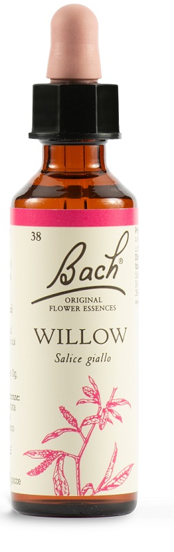 WILLOW BACH ORIG 20 ML - Pharmaleader