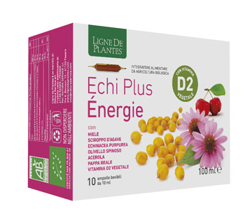 ECHI PLUS ENERGIE 10 AMPOLLE DA 10 ML - Pharmaleader