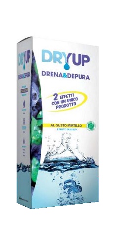 DRYUP MIRTILLO 300 ML - Pharmaleader