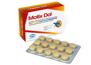 MOTIX DOL 60 COMPRESSE 48 G - Pharmaleader