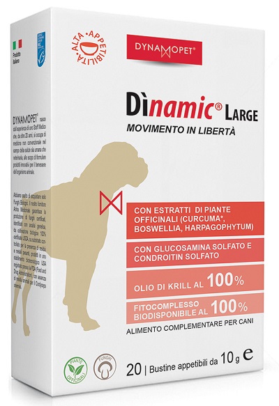 DINAMIC LARGE 20 BUSTINE 10 G - Pharmaleader