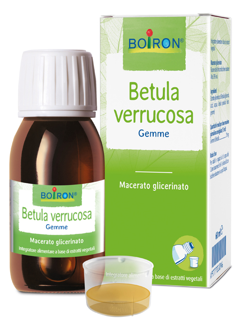 BETULA VERRUCO BOIRON MACERATO GLICERICO 60 ML - Pharmaleader