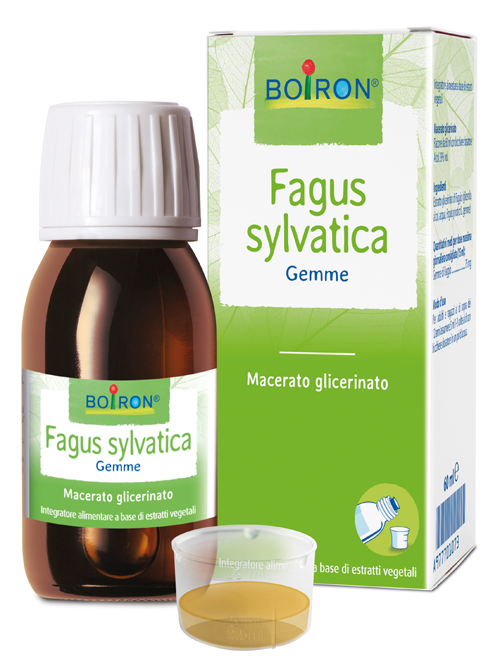 FAGUS SYLVATICA BOIRON MACERATO GLICERICO 60 ML - Pharmaleader